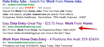 work from home data entry