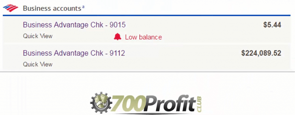 700 Profit Club proof earnings