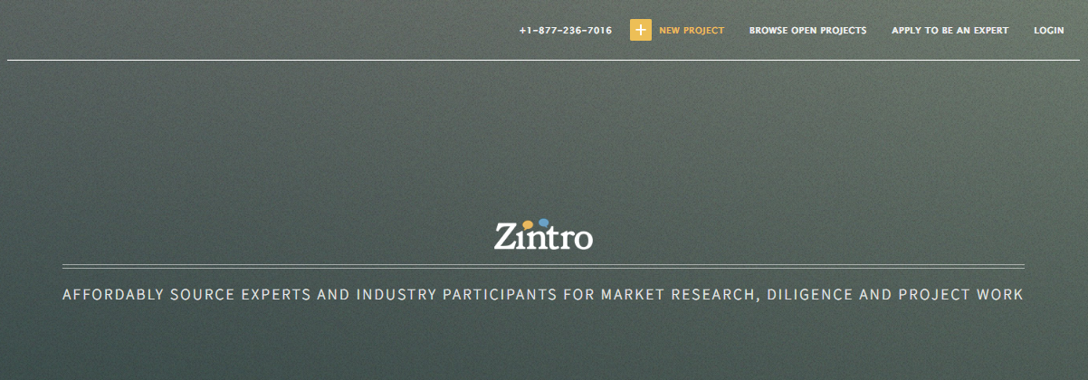 Zintro Homepage